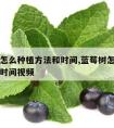 蓝莓树怎么种植方法和时间,蓝莓树怎么种植方法和时间视频