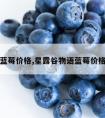 蓝莓价格,星露谷物语蓝莓价格