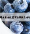 蓝莓水果拼盘,蓝莓水果拼盘诗句图