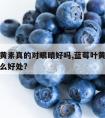 蓝莓叶黄素真的对眼睛好吗,蓝莓叶黄素对眼睛有什么好处?