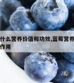 蓝莓有什么营养价值和功效,蓝莓营养价值与功效与作用