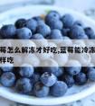 冻的蓝莓怎么解冻才好吃,蓝莓能冷冻吗速冻蓝莓怎样吃