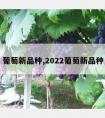 葡萄新品种,2022葡萄新品种