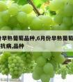 6月份早熟葡萄品种,6月份早熟葡萄品种,高产,抗病,品种