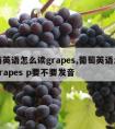 葡萄英语怎么读grapes,葡萄英语怎么读grapes p要不要发音