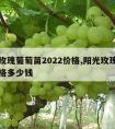 阳光玫瑰葡萄苗2022价格,阳光玫瑰葡萄苗价格多少钱