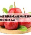 山楂降血压最快最好,山楂降血压最快最好盐城有哪些公园?怎么去?