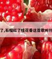 石榴红了,石榴红了桂花香这首歌叫什么名字