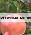 软籽石榴好消化吗,软籽石榴籽助消化吗