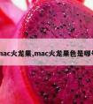 mac火龙果,mac火龙果色是哪号