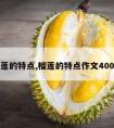 榴莲的特点,榴莲的特点作文400字