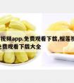 榴莲视频app.免费观看下载,榴莲视频app免费观看下载大全