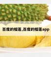 百度的榴莲,百度的榴莲app