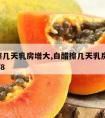 白醋擦几天乳房增大,白醋擦几天乳房增大ie=utf8