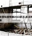 拆迁补偿标准明细2022武汉,武汉拆迁赔偿标准