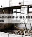 拆迁补偿标准明细2022青岛,青岛市最新拆迁政策