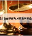 拆迁公告在哪查询,如何查询拆迁公告