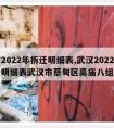 武汉2022年拆迁明细表,武汉2022年拆迁明细表武汉市蔡甸区高庙八组拆迁