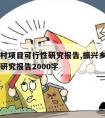 振兴乡村项目可行性研究报告,振兴乡村项目可行性研究报告2000字