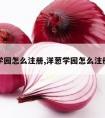 洋葱学园怎么注册,洋葱学园怎么注册账号