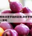 洋葱学院和洋葱学园的区别,洋葱学院和洋葱学园是一家吗