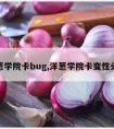 洋葱学院卡bug,洋葱学院卡变性头像