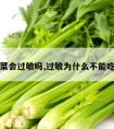 吃芹菜会过敏吗,过敏为什么不能吃芹菜