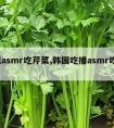 r姐asmr吃芹菜,韩国吃播asmr吃芹菜