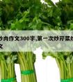 芹菜炒肉作文300字,第一次炒芹菜炒肉优秀作文