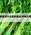 种芹菜底肥用什么肥料最好,种植芹菜需要什么肥料