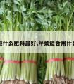 芹菜施什么肥料最好,芹菜适合用什么肥料