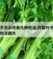 芹菜叶子怎么吃有几种吃法,芹菜叶子怎么吃有几种吃法图片