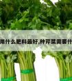 栽芹菜用什么肥料最好,种芹菜需要什么肥料