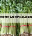 给芹菜施肥用什么样的肥料好,芹菜要用什么肥料