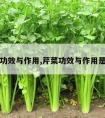 芹菜功效与作用,芹菜功效与作用是什么