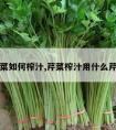 芹菜如何榨汁,芹菜榨汁用什么芹菜