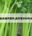 孕妇能吃西芹菜吗,西芹菜孕妇可以吃吗