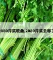 2080芹菜歌曲,2080芹菜去哪了