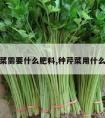 种芹菜需要什么肥料,种芹菜用什么肥料