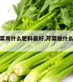 种植芹菜用什么肥料最好,芹菜施什么肥料最好