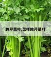 腌芹菜叶,怎样腌芹菜叶