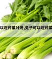 兔子可以吃芹菜叶吗,兔子可以吃芹菜叶吗图片