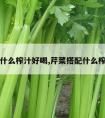 芹菜配什么榨汁好喝,芹菜搭配什么榨汁好喝