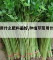 种芹菜用什么肥料最好,种植芹菜用什么肥料最好