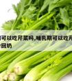 哺乳期可以吃芹菜吗,哺乳期可以吃芹菜吗?会不会回奶