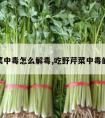 野芹菜中毒怎么解毒,吃野芹菜中毒的症状