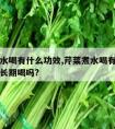 芹菜煮水喝有什么功效,芹菜煮水喝有什么功效可以长期喝吗?