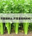 芹菜回奶么,芹菜是回奶的吗?