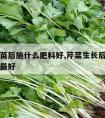 芹菜出苗后施什么肥料好,芹菜生长后期用什么肥料最好