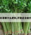 芹菜生长需要什么肥料,芹菜适合施什么肥料